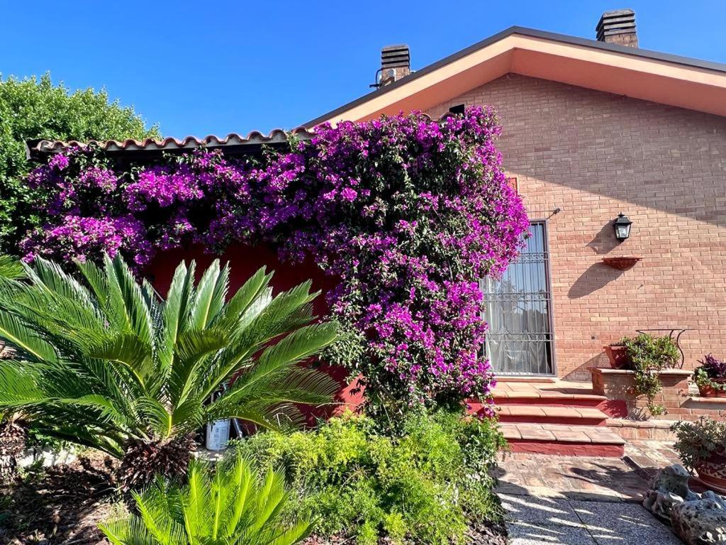 B&B La Casa Di Era Porto San Giorgio Exterior photo